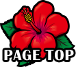 PAGE TOP